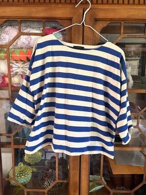 J. Crew Blue and White Striped Long Sleeve Top